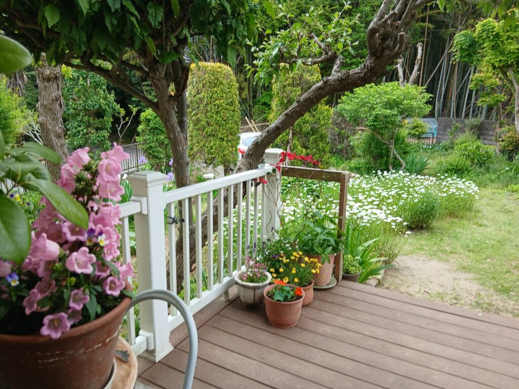 春の花が咲く庭とウッドデッキ、鉢植えの花や白いフェンスに囲まれた緑豊かな庭の風景